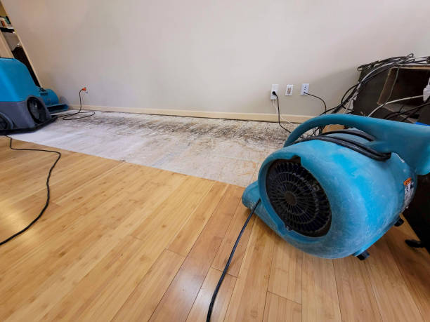 Professional Water Extraction technician working in Andover, NJ
